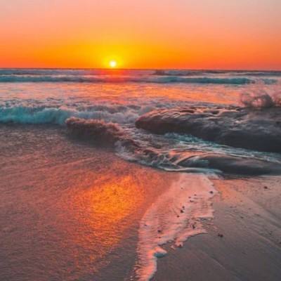 BET9官网下载截图